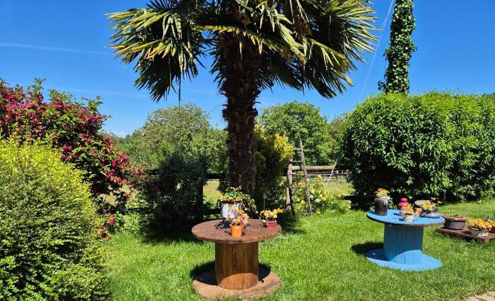 Boves B&B Alla Borgata المظهر الخارجي الصورة